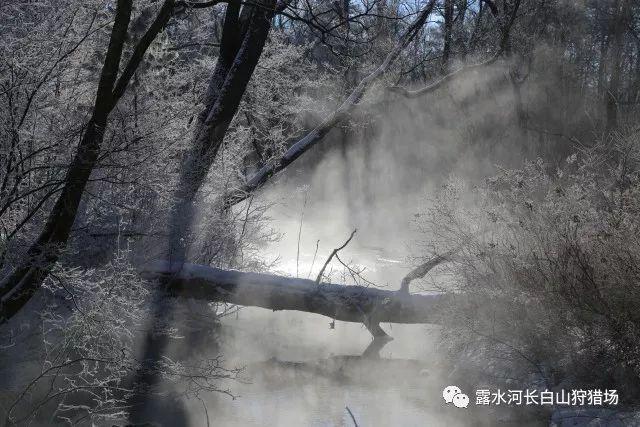 奥利姐妹换装
