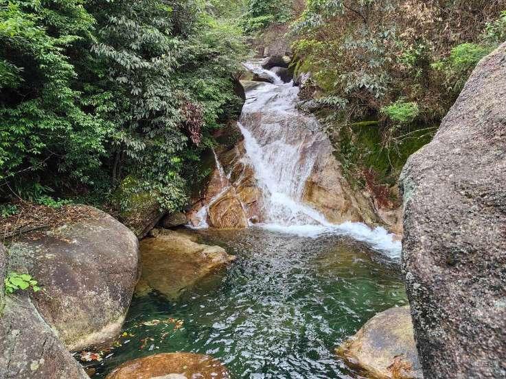 她拜师高僧却堕落成贼，屡屡作案致使24岁时被警方击毙，她是谁？