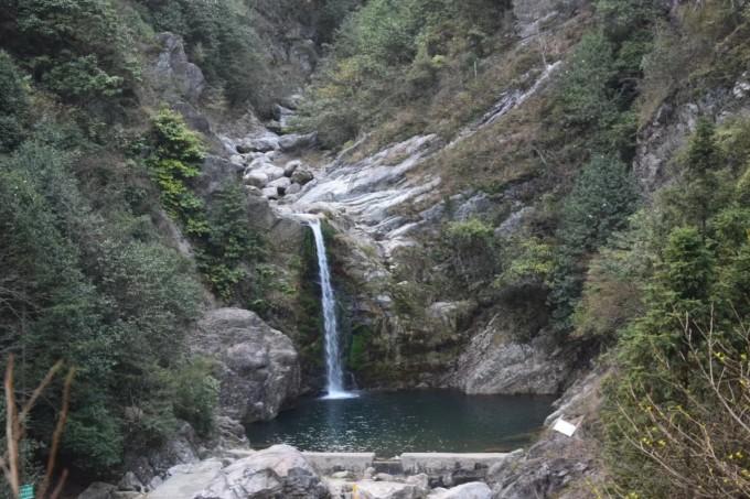 梦想的后院
